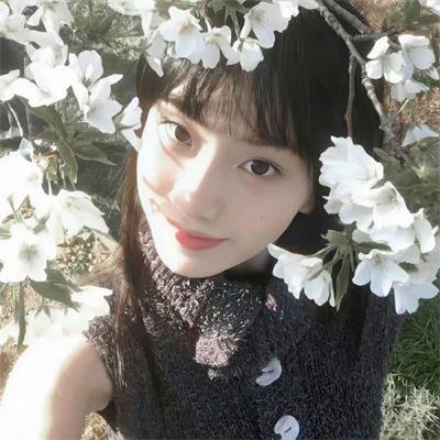 欲海群雌